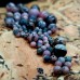 Lace rhodonite beads