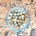 Picture jasper beads