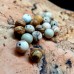 Picture jasper beads