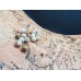 Picture jasper beads