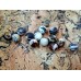 Zebra jasper beads