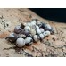 Zebra jasper beads